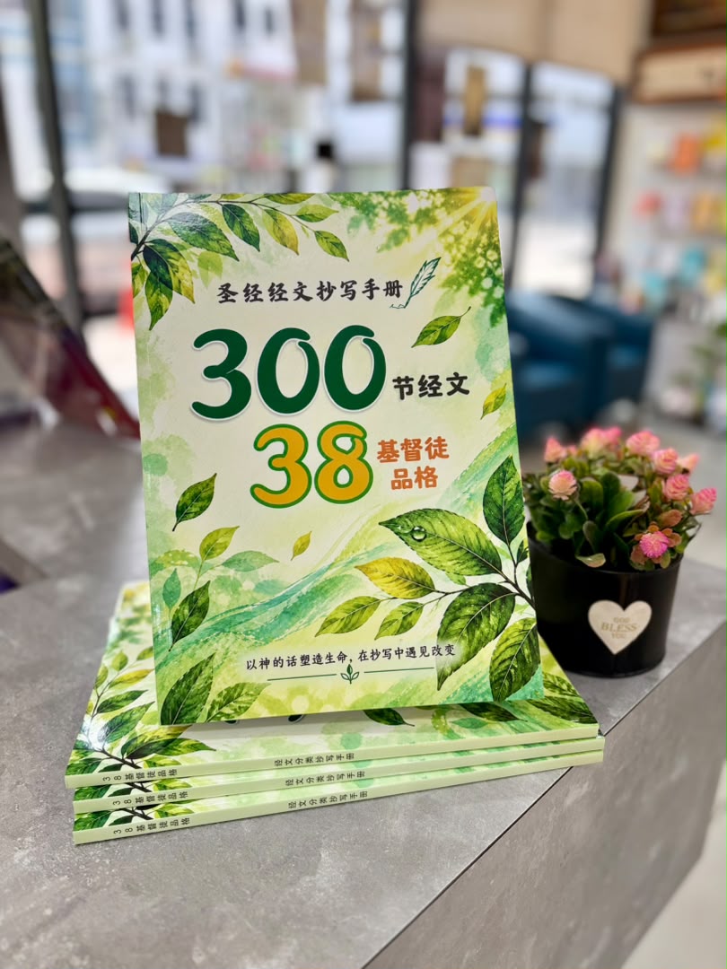 聖經經文分類抄寫手冊5.0-300節經文38基督徒品格 封面
